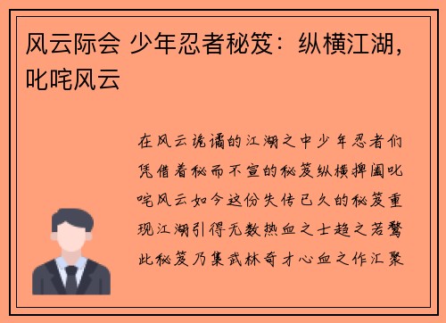 风云际会 少年忍者秘笈：纵横江湖，叱咤风云